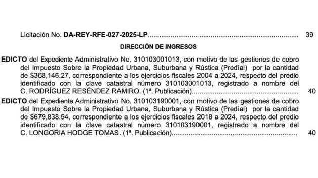 Licita ayuntamiento Reynosa terrenos deudores del predial