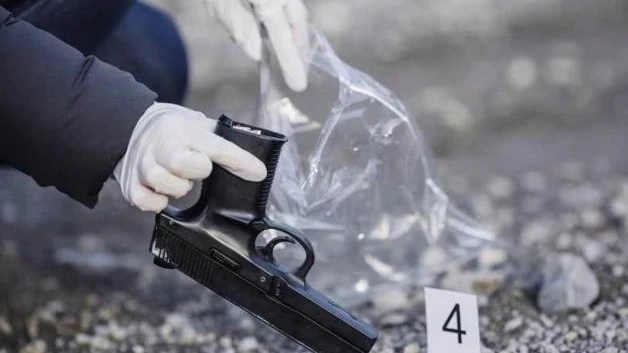 Disminuyen actividades del crimen en Tamaulipas
