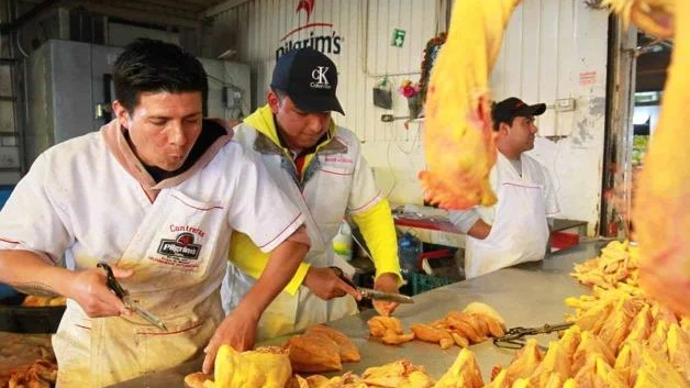 Encarece pollo por gripe aviar en EU