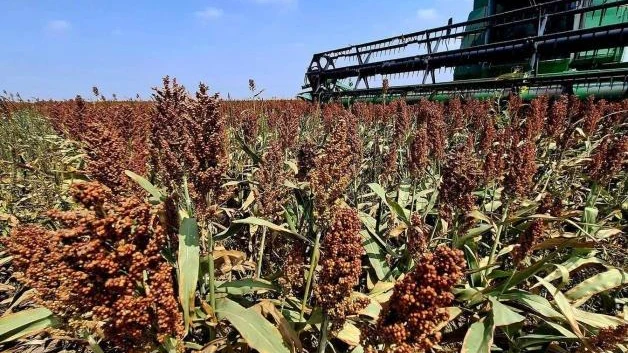‘Blindan’ al agro contra aranceles