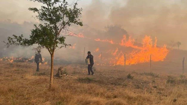 Darían 10 años de cárcel a responsables de incendios