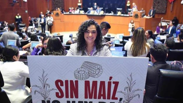 Protegerán el cultivo del maíz