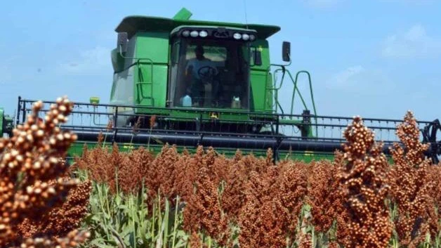 Cortará CFE ayuda a 4 mil agricultores