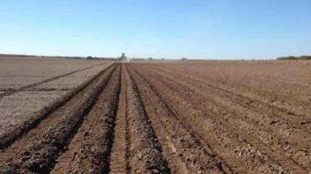 Exigen rehabilitar presa ´La Llorona´ para riego agrícola
