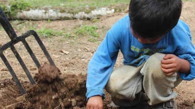 Trabajo infantil va en aumento