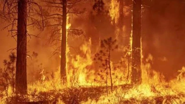Quemas agropecuarias ocasionaron incendios