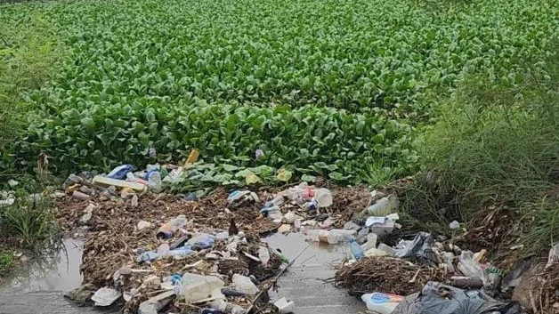Sin freno el deterioro ambiental de calicheras