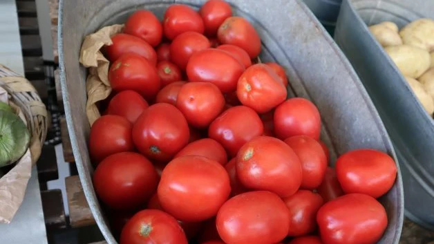 Descartan un impacto por arancel al tomate