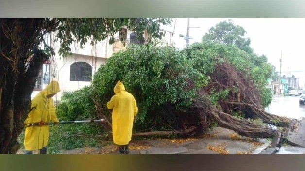 Impacta Barry sin incidentes