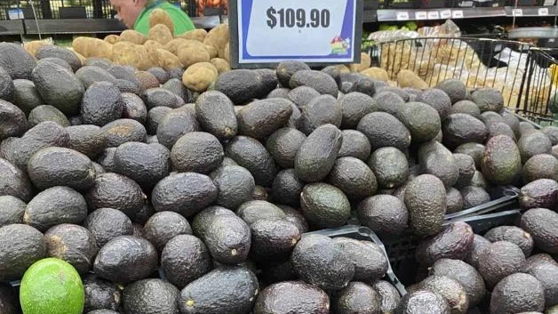 Retiran el aguacate de tacos