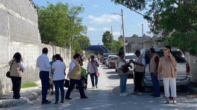 Combate sector Salud una plaga de arañas