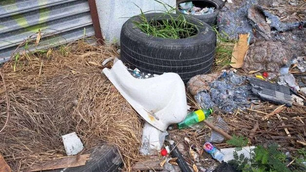 ¡Buscan hacerle frente al dengue!