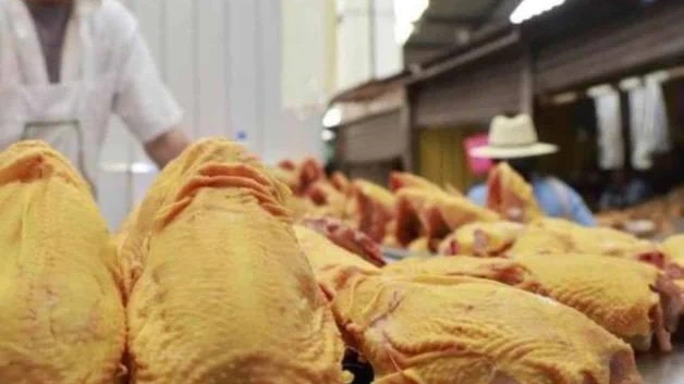 Sancionarían a EU por pollo y cerdo