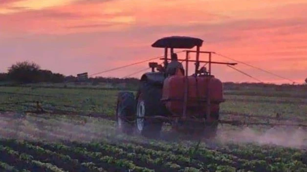 Quedarían sin sembrar 500 mil hectáreas en Tamaulipas