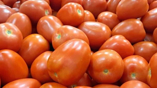 Pagarán arancel al tomate los consumidores en EU