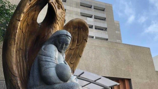 Ofrece Seguro Social solvencia hasta 2037