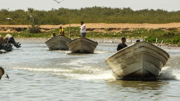 Pesca en crisis