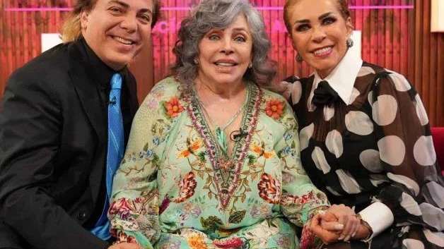 Regresa a la TV