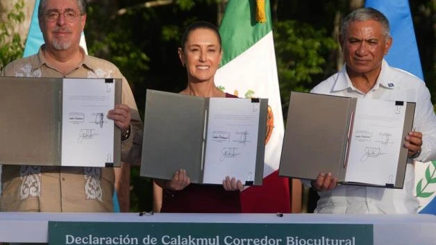Anuncian proteger la gran Selva Maya