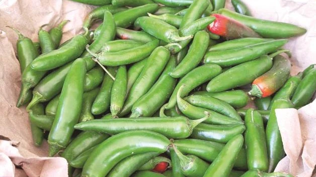 Alcanza el chile los 101 pesos por kilo