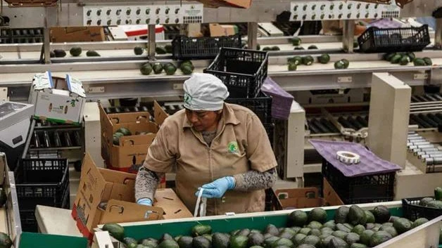Sin empleo, 40% de los jóvenes, señala la OIT