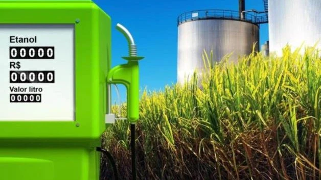 Producirán combustibles con excedentes de sorgo