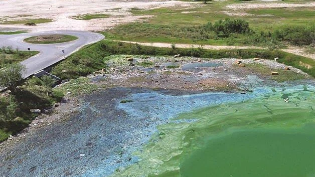 Contaminan la laguna La Escondida