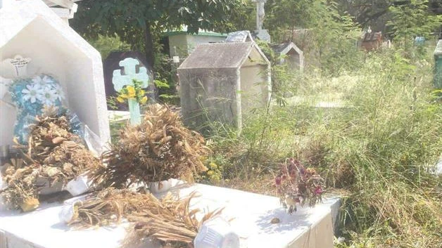 Panteón San Pedro: maleza y basura entre las tumbas