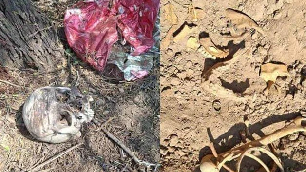 Hallan restos humanos en ejido El Provenir de Reynosa
