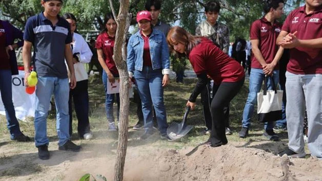 Universitarios reforestan la laguna La Escondida