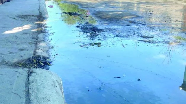 Desperdician cientos de litros de agua por fuga