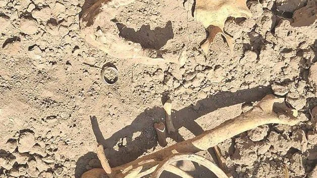 Colectivos acusan rezago forense en Tamaulipas