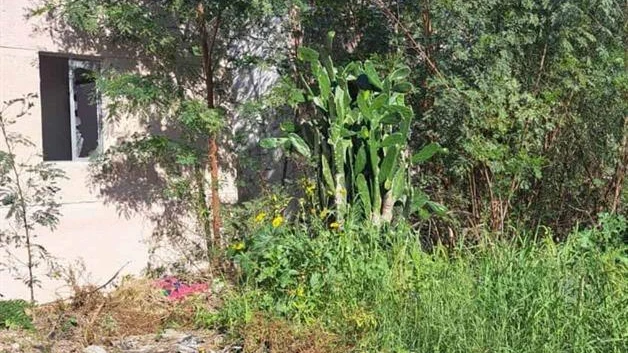 Reynosa líder en Estado en casas abandonadas
