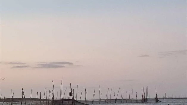 Baja la captura de especies acuáticas