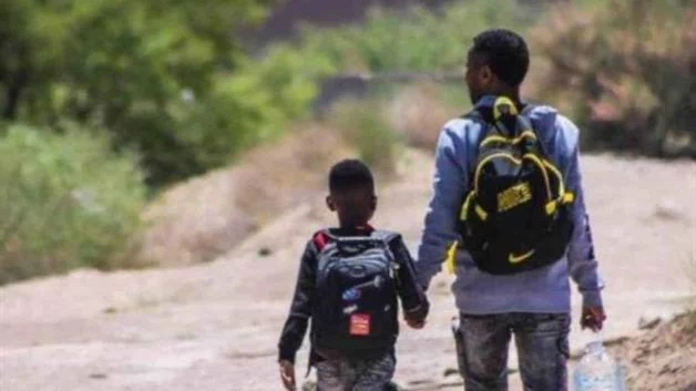 Caen detenciones de migrantes hasta 85%