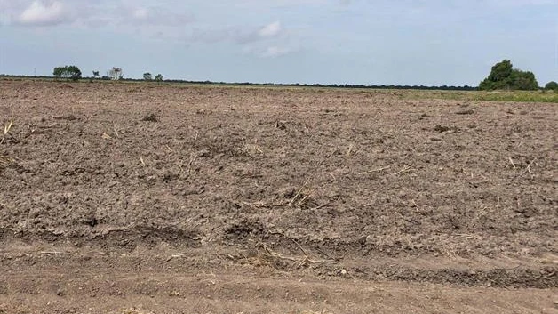 Agricultores en riesgo de perder sus tierras