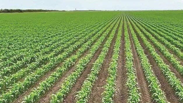 ´Acuerdo hídrico no afecta a campesinos´