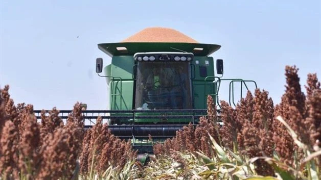 Golpea a agricultores sequía, bajos precios y falta de apoyo