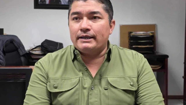 Dejan solo al sur ante plaga