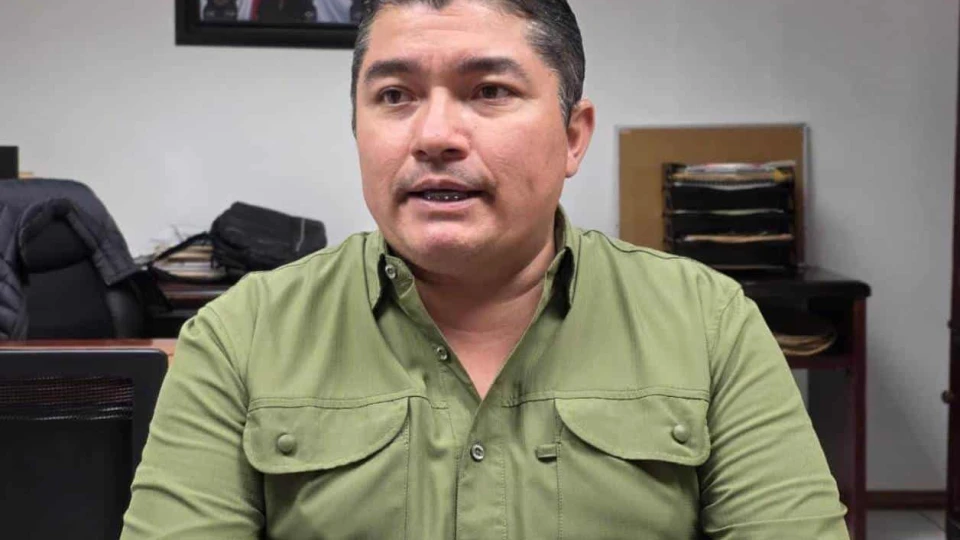 Dejan solo al sur ante plaga