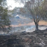 Incendios arrasan más de mil 500 hectáreas
