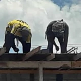Canícula pone en alerta a albañiles