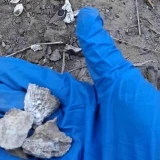 Nuevo hallazgo de fosa clandestina