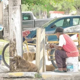 El calor da una tregua a trabajadores ambulantes