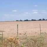 Sin lluvias se frenan siembras
