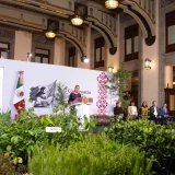 Anuncian Jornada Nacional de Reforestación