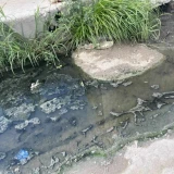 Fugas de aguas negras provocan insalubridad en Reynosa