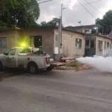 Intensificará Tampico acciones contra el dengue
