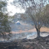 Incendios ponen en jaque a cuerpos de emergencias