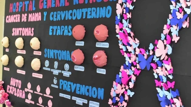 Llaman a reforzar deteccion oportuna